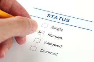 Marital Status Boxes (1mb)