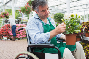 Employee in Wheelchair (Plant)
