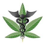 Effect of Medical Marijuana on Employment Law